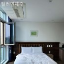 컬러인제주 휴양펜션 | 제주도펜션 컬러인제주 영업시간 위치 후기