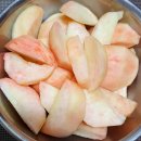 참살이농원 | 백도 딱딱이 복숭아 수확중 / 청도 산지직송