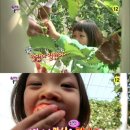 문채농장 이미지