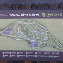 2023. 6. 03. 60년간 봉인된 민통선 DMZ 양구 평화의마을 펀치볼 둘레길을 가다 (진행:사나래님) 이미지