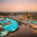 탱고막창 | [6월]서울여행 with 영재(2025_6/15~6/17)