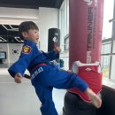 뿌리깊은나무 국기태권도장 이미지