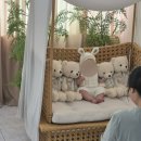 [육아일기] #8 마미포토스튜디오 100일 백일촬영 후기(105일 남자아이 2컨셉)