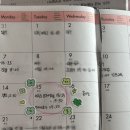 제주 당일치기 요가