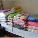 조은익스프레스 이미지