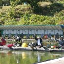 대성낚시터 이미지