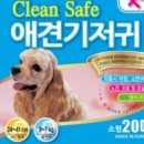 세이프크린 이미지