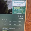[전라도] 여름에 갔다 온 담양, 대표 관광지 명소 &#39;죽녹원&#39; 후기🎋🎋