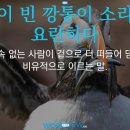 빈깡통