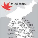주루루 세계일보