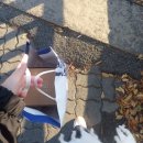 2024년 2학기 사회복지현장실습(11월개강) | [사회복지 현장실습] 1주차 - 아 XX 실습기관 잘못 골랐다