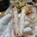 갯마을 펜션 | 영덕 오션뷰 숙소 갯마을 펜션 강구항 영덕대게거리 동광어시장