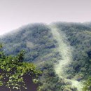 산길 이미지