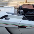 에스(S)게러지 이미지