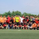 제철태권도 이미지