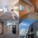 바이티에이치에스샤인 이미지