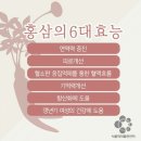참다한홍삼용인