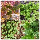 쉴만한물가펜션 이미지