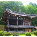 단호샌드파크 캠핑장 이미지