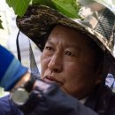 연임농장` 이미지