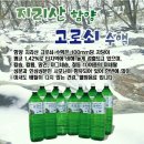 고로쇠 이미지