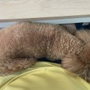 토니앤가이(프리미엄분당점) 이미지
