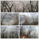 새롭고산길