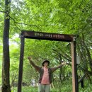 할머니학화호도과자신세계시외버스점 | 한라산국립공원 제주 한라산 등반 어승생악 등산 어리목 코스