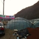 임동농장 이미지