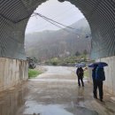 경춘목장 이미지