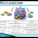개미청소 이미지