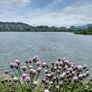 전주 기지제수변공원 이미지