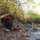 대한민국에서 가장 넓은 땅, 무궁화의 고장 홍천 이미지