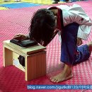 더차오름 태권도 이미지