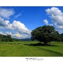 빛으로 그린 세상 이미지