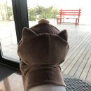 잔바이어 네이버블로그
