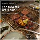 뚝배기일번지 | 여의도맛집 더현대맛집 여의도소고기 한우일번지X규이치 여의도점, 1++ NO.9 한우 먹어볼까?