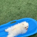 에스-투 이미지