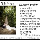 유성당빌딩 | [한 달 반만에 결혼 준비]4. 웨딩 사진 촬영하기 (ft. 언니네 사진관)
