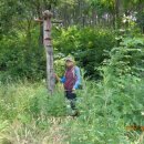 진주이반성우체국 이미지