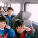 부룡합기도 이미지