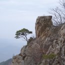 경북 성주 영암산, 선석산, 비룡산 낙엽산행~~ 이미지