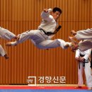 경향태권도 이미지