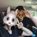동교마트 | 전남 보성 | 보성 풀빌라 추천 | 플라밍고 펜션