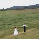 꽃의계절 | 전남의 들판과 잔디에서 계절의 꽃들과 함께한 감성 사진 후기