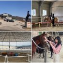 우리승마장 이미지