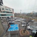 김영모 제과점 | 판교 두돌 아이랑 가기 좋은 베이커리 카페 파네트리 김영모 제과점 방문 후기