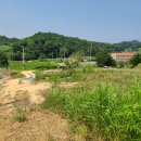 금산농장 2 이미지