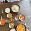용인 영덕동 맛집 고시해정 순대국 — 아기랑 함께한 따뜻한 한 끼