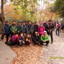 대청농업협동조합 하나로마트 이미지